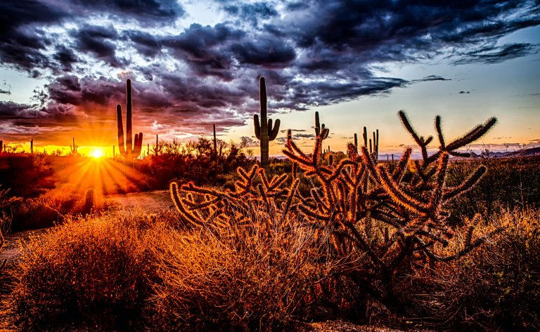 Arizona sunrise as you learn about me, Stacy Klein REALTOR® Scottsdale Living Luxury